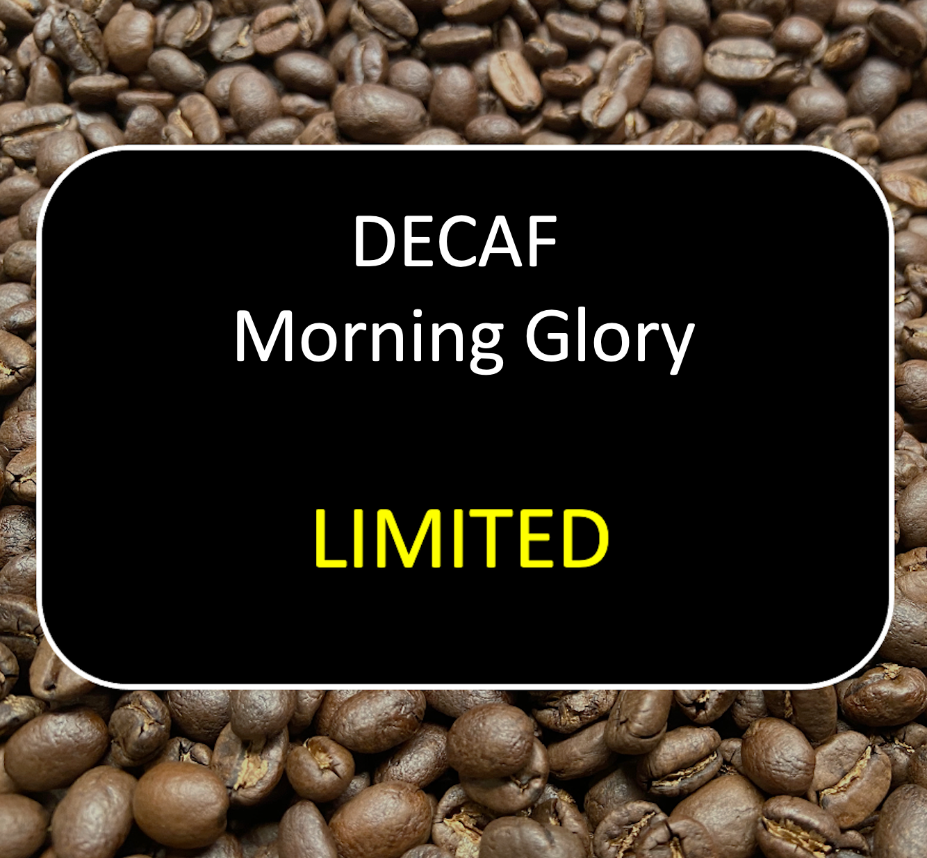 DECAF Morning Glory 12oz
