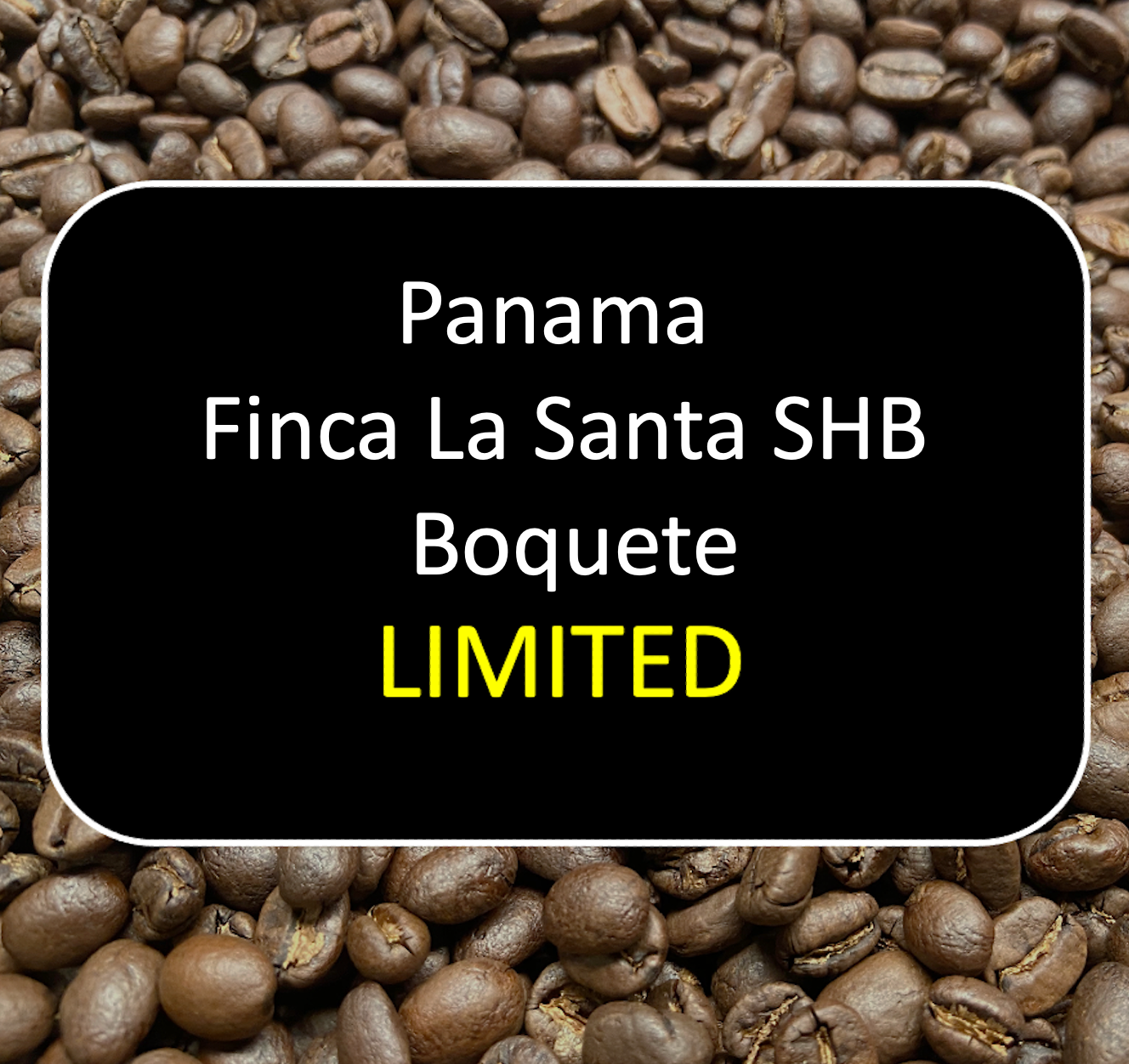 Panama Finca La Santa SHB Boquete 12oz