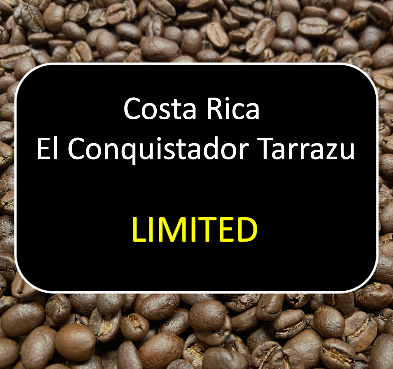 Costa Rica El Conquistador Tarrazu 12 oz