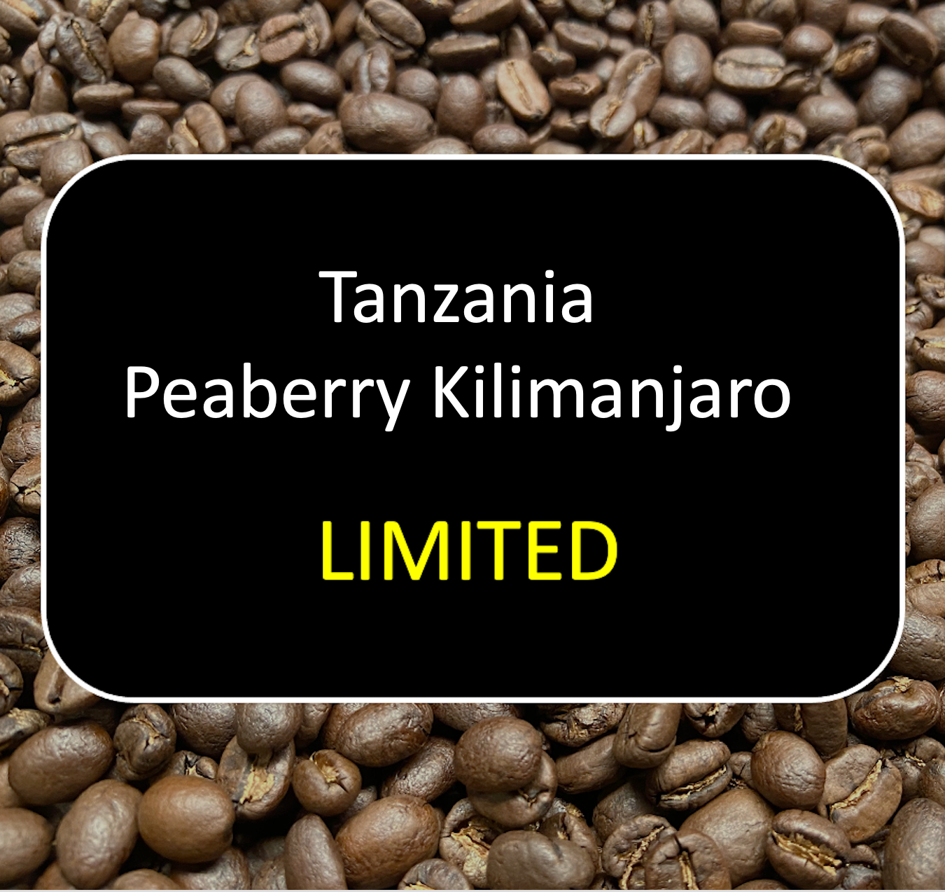 Tanzania Peaberry Kilimanjaro (Limited) - 12oz