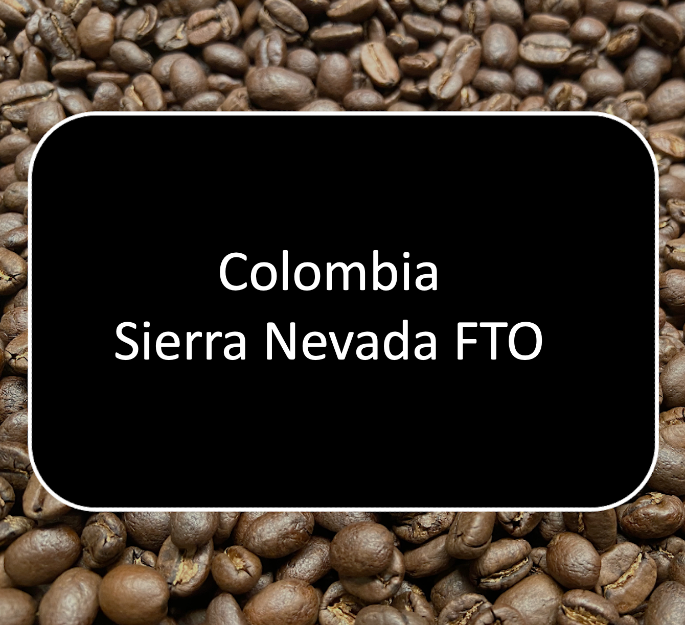 Colombia Sierra Navada FTO (Limited) - 12 oz