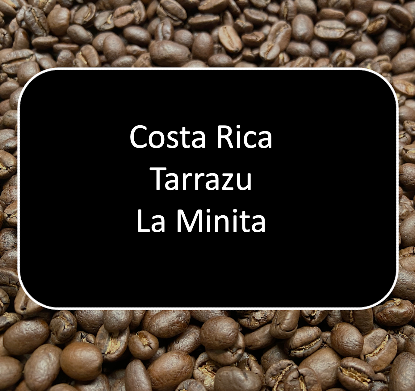 Costa Rica Tarrazu La Minita - 12 oz