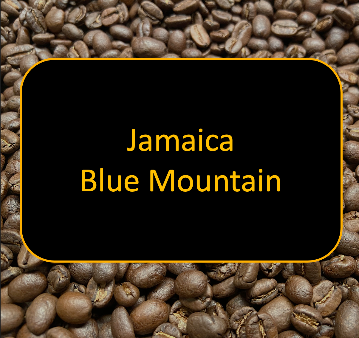 Jamaica Blue Mountain Coffee Grade 1 Certified / Limited) - 12 oz